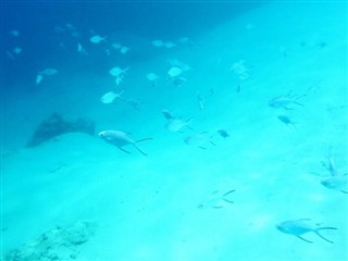 Navassa Adası hava tahmini
