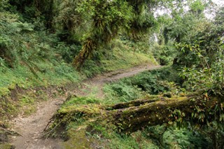 Nepal vejrudsigt