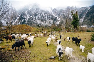 Nepal Hava tahmini
