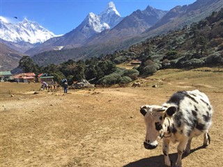 Nepal vejrudsigt