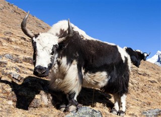 Nepal hava tahmini