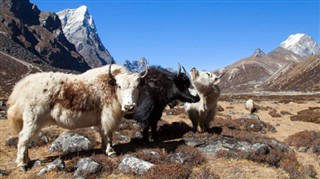 Nepal vejrudsigt