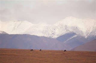 Nepal vejrudsigt