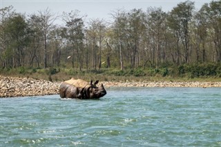 Nepal hava tahmini