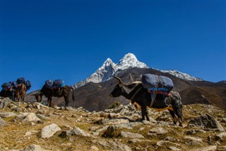 Nepal hava tahmini