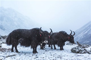 Nepal hava tahmini