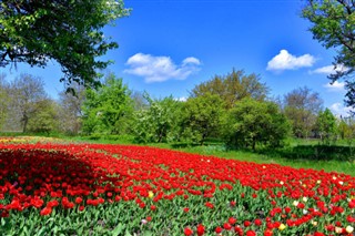 Holland vejrudsigt