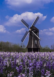 Holland vejrudsigt