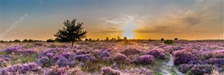Netherlands weather forecast