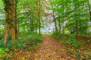 Holland vejrudsigt