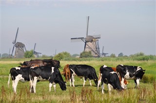 Hollandia Időjárás-jelentés