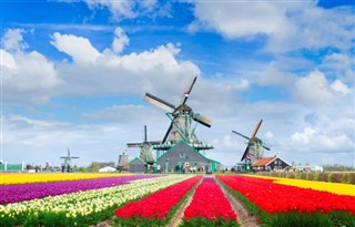 Netherlands weather forecast