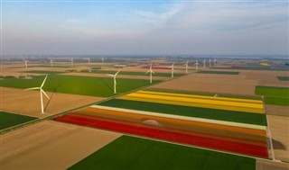 Holland vejrudsigt