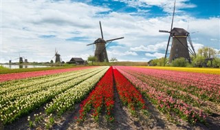 Hollanda hava tahmini