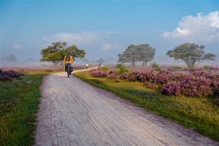 Holland vejrudsigt