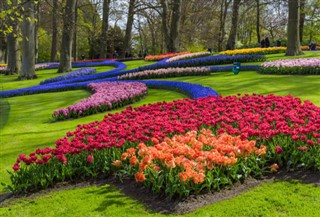 Netherlands weather forecast