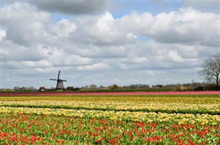 Hollanda hava tahmini