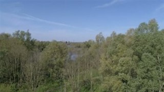 Hollanda Hava tahmini