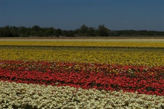 Hollanda hava tahmini