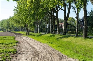 Hollanda hava tahmini