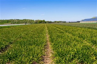 Holland vejrudsigt