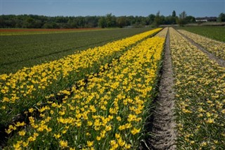 Hollandia Időjárás-jelentés