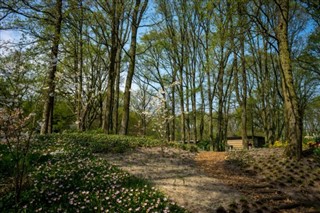 Holland vejrudsigt