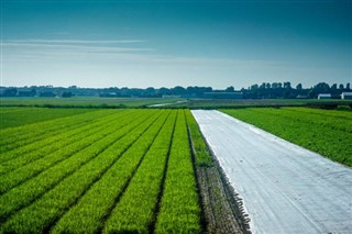 Holland vejrudsigt