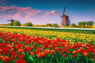 Holland vejrudsigt