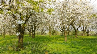 Hollandia időjárás-jelentés