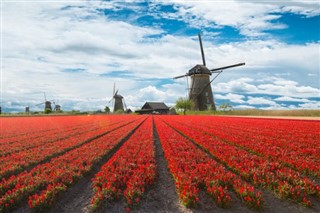 Holland vejrudsigt