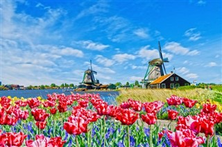 Holland vejrudsigt