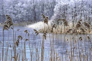 Hollanda hava tahmini