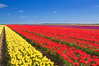 Hollanda hava tahmini