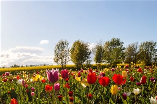 Holland vejrudsigt