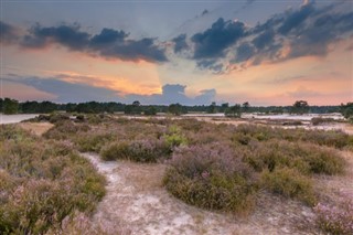 Holland vejrudsigt