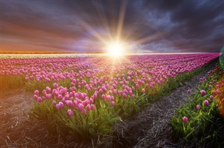 Holland vejrudsigt