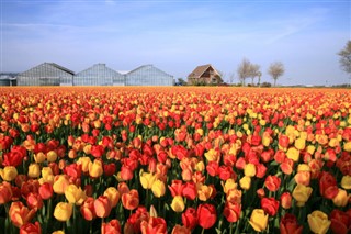 Hollanda hava tahmini