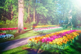 Netherlands weather forecast