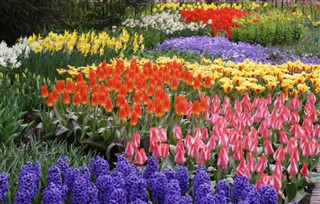 Netherlands weather forecast