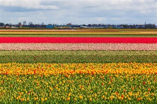 Hollanda Hava tahmini