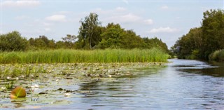 Holland vejrudsigt