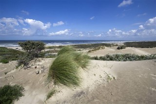 Hollanda Hava tahmini
