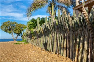 Netherlands Antilles weather forecast