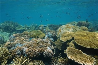 New Caledonia weather forecast