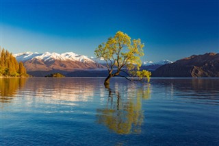 New Zealand vejrudsigt