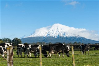 Yeni Zelanda Hava tahmini