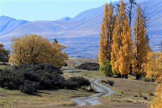 Yeni Zelanda hava tahmini