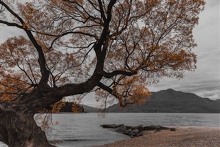Yeni Zelanda hava tahmini