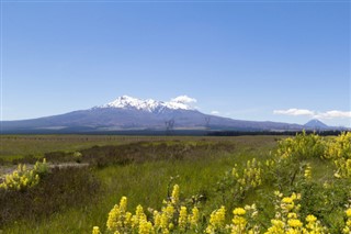 Nuova Zelanda previsioni del tempo